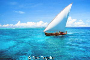 Perfect! by Rick Tegeler 
